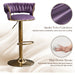2x Height Adjustable Swivel Bar Stool Velvet Golden Base Barstools Chairs Padded Seat - Amazingooh Wholesale