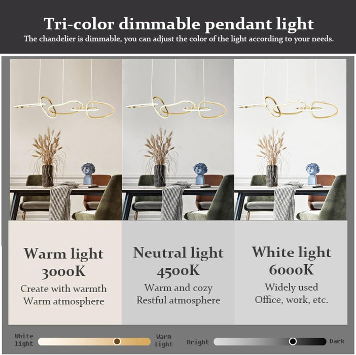 BAMDECOR A24126 Nordic Minimalist LED Pendant Light Adjustable Modern Ring Chandelier for Dining Room and Bar (Black)