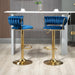 SERENITà Blue Velvet Seat Kitchen Breakfast Bar Stools Counter Height Barstools with Back Cushioned Chairs for Home Bar x2 - Amazingooh Wholesale