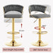 SERENITà Grey Velvet Padded Golden Round Base Barstools Chairs x 2 - Amazingooh Wholesale