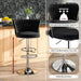 SERENITà Modern Silver Swivel Upholstered Velvet Adjustable Height Counter Stool with Metal Frame Black (Set of 2) - Amazingooh Wholesale