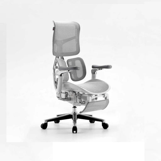 SIHOO Doro S300 Executive Ergonomic Office Chair with Footrest Grey - Amazingooh Wholesale