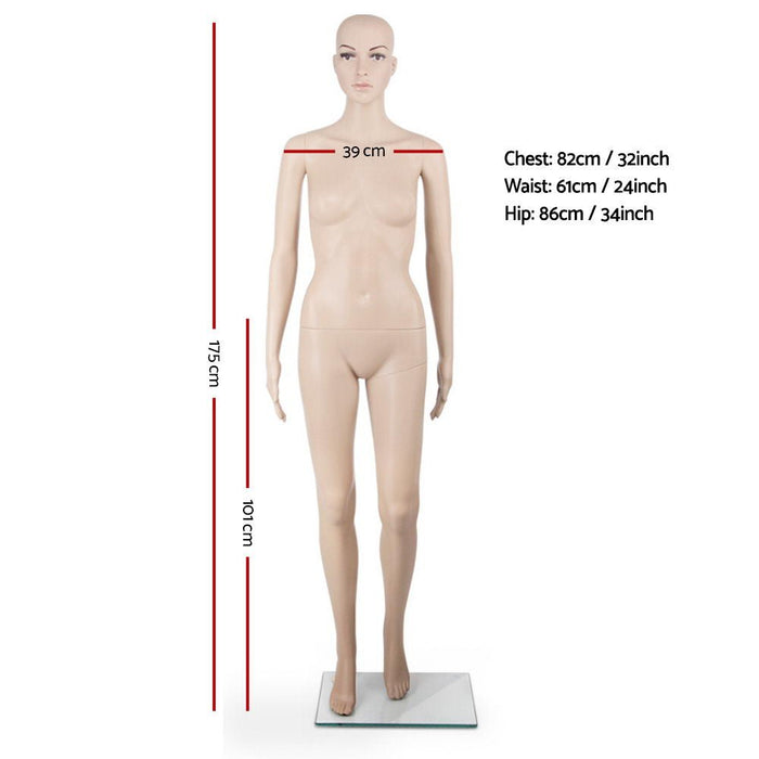 175cm Tall Full Body Female Mannequin - Skin Coloured - Amazingooh Wholesale