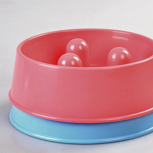 2 x XL Pet Anti Gulp Feeder Bowl Dog Cat Puppy slow food Interactive Dish - Amazingooh Wholesale