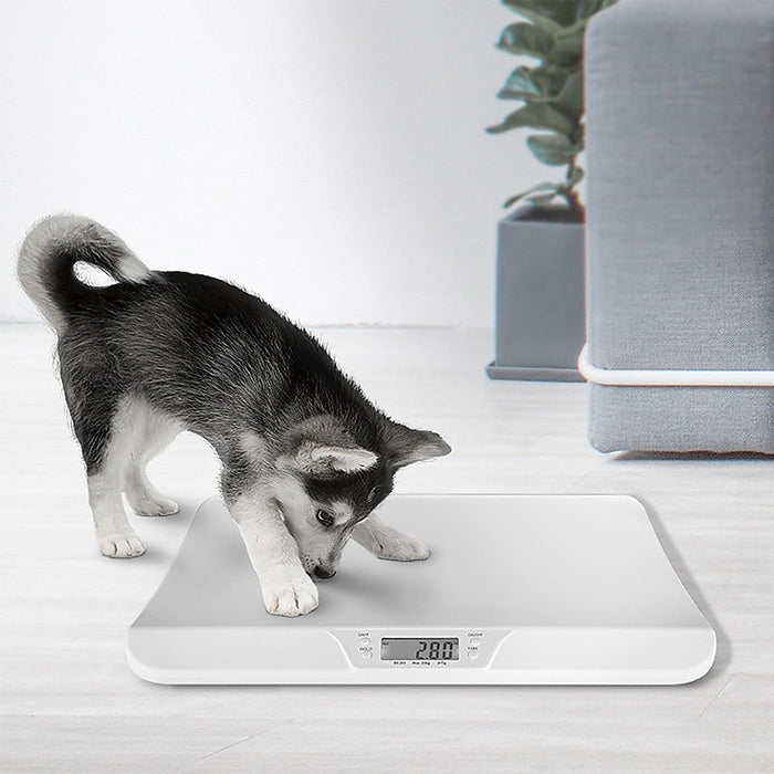 Electronic Digital Baby Scale Weight Scales Monitor Tracker Pet - Amazingooh Wholesale