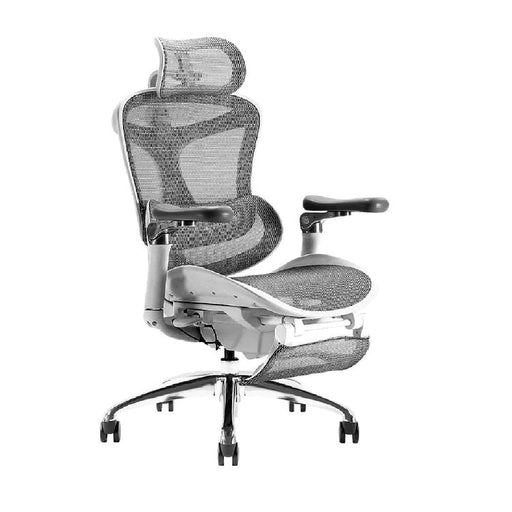 SIHOO A3 Doro C300 Ergonomics Executive Office Chair with Footrest Grey - Amazingooh Wholesale