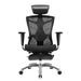 Sihoo Ergonomic Office Chair V1 4D Adjustable High-Back Breathable With Footrest And Lumbar Support - amazingooh