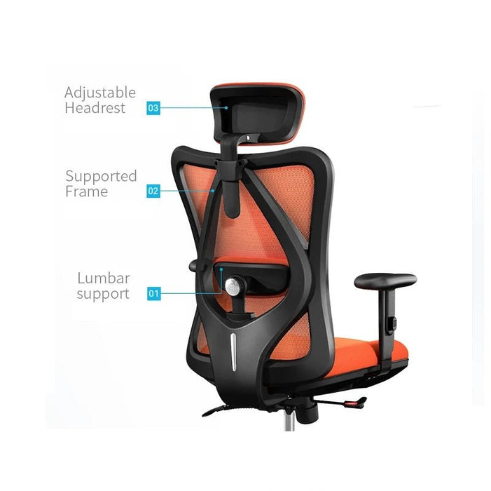 Sihoo M18 Ergonomic Office Chair, Computer Chair Desk Chair High Back Chair Breathable,3D Armrest and Lumbar Support - amazingooh