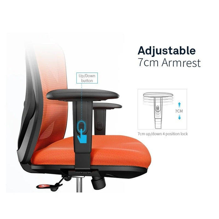 Sihoo M18 Ergonomic Office Chair, Computer Chair Desk Chair High Back Chair Breathable,3D Armrest and Lumbar Support - amazingooh