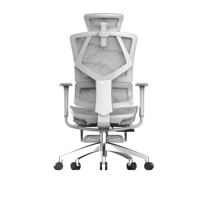 Sihoo M90C Ergonomic Office Chair with Adjustable Lumbar Support Grey